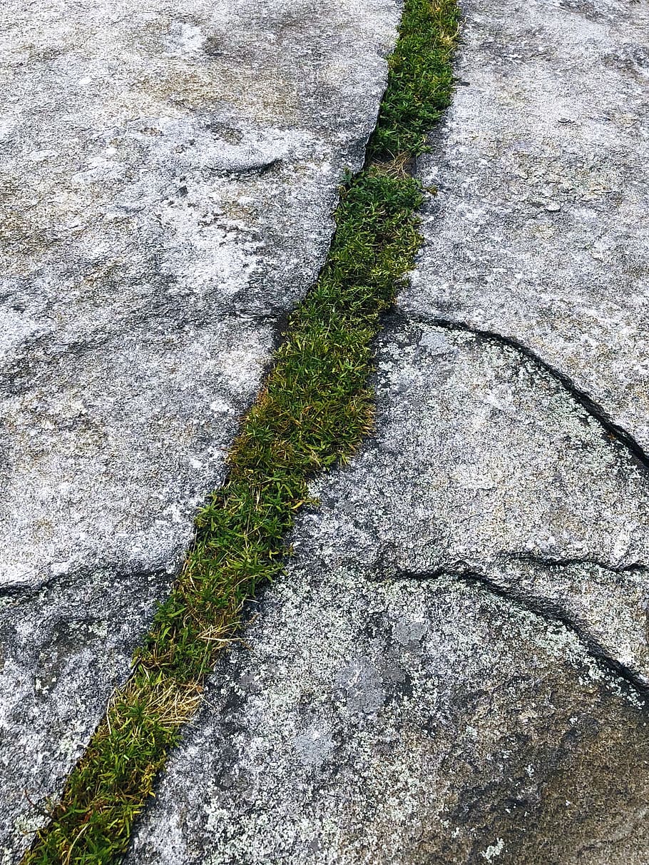 contrast, high angle view, no people, day, footpath, textured HD wallpaper