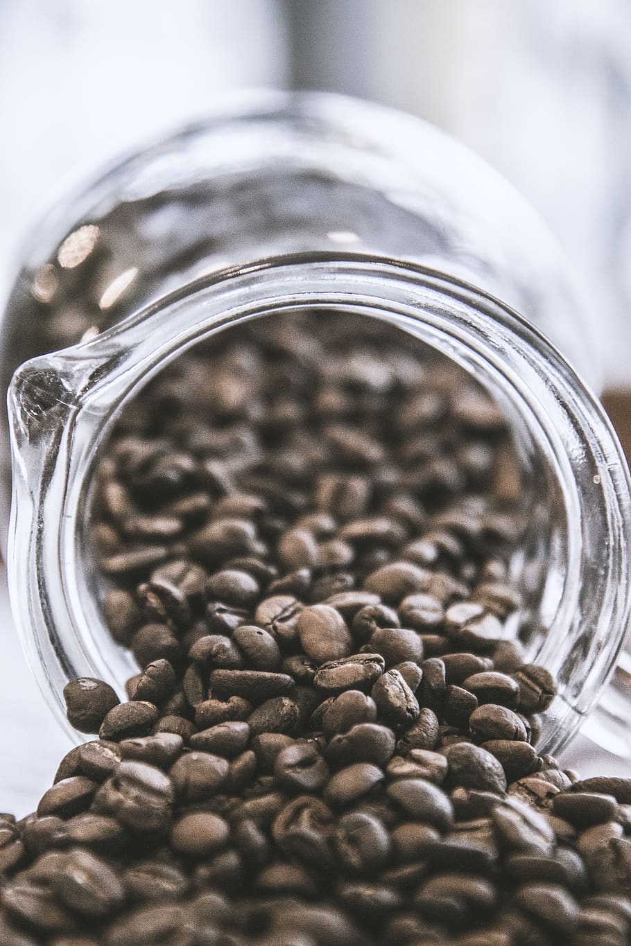 coffee, seeds, brown, cup, cafe, espresso, cappuccino, latte HD wallpaper