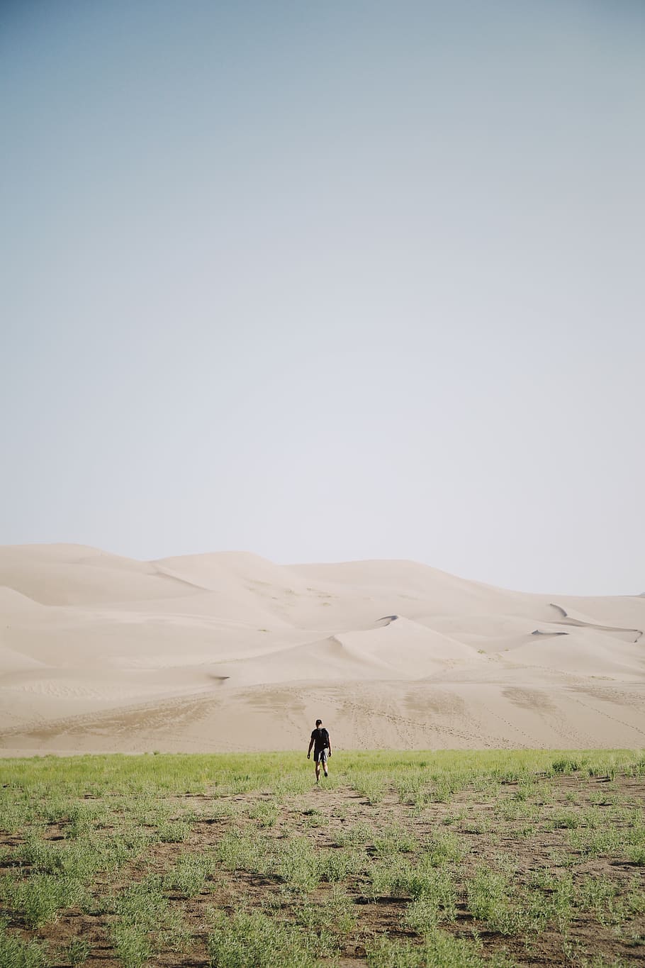 man standing on grass, landscape, environment, sky, scenics - nature HD wallpaper