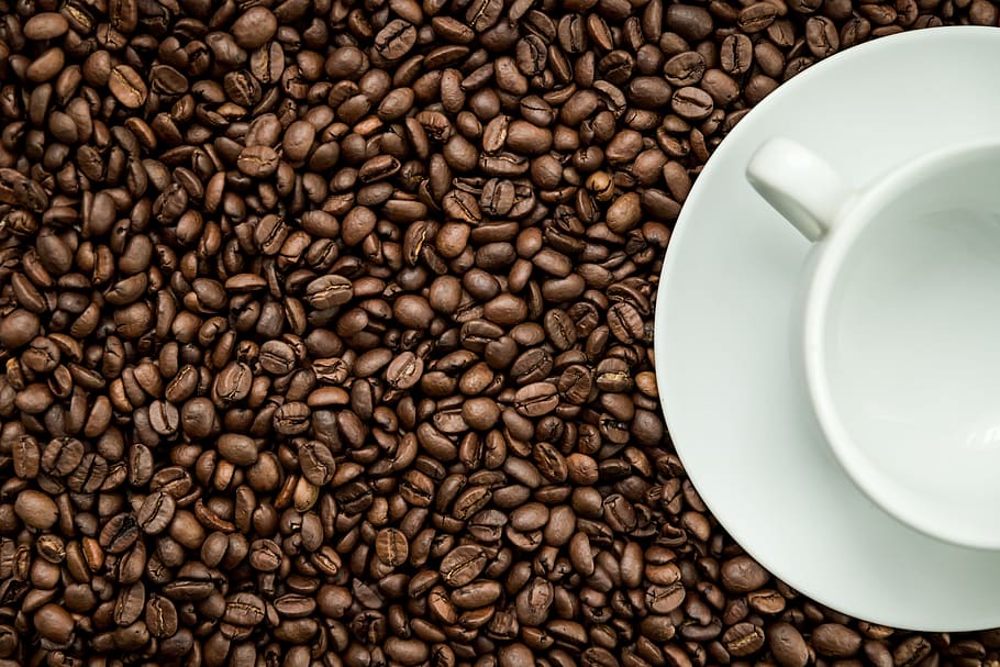 Texture of coffee beans with a white cup, food and drink, coffee - drink HD wallpaper