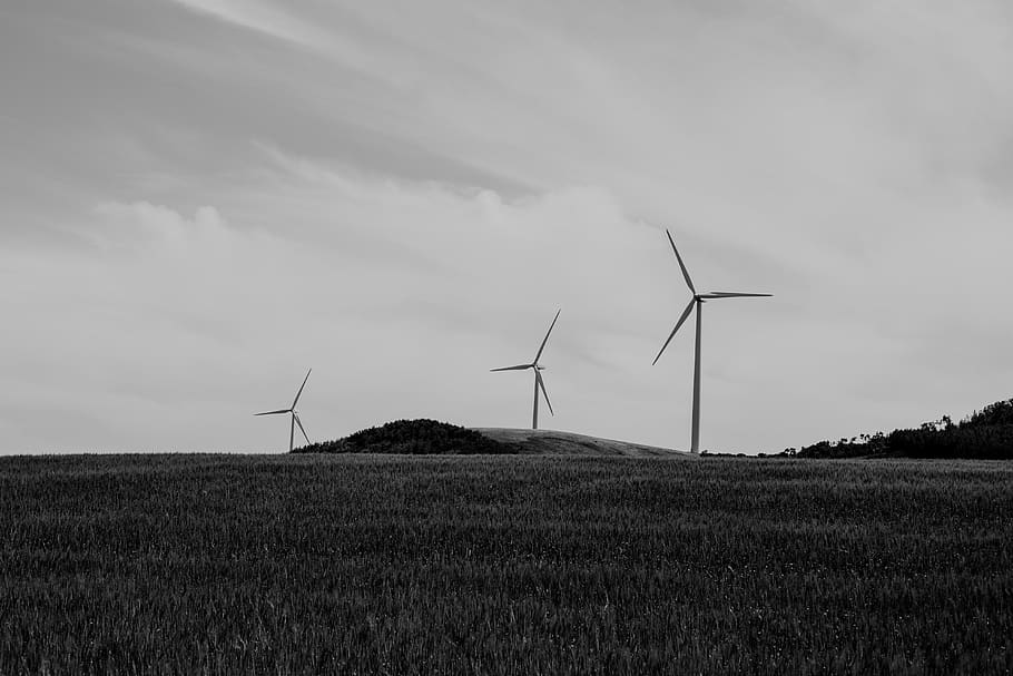 working, industry, money, power source, canada, albertum, field HD wallpaper