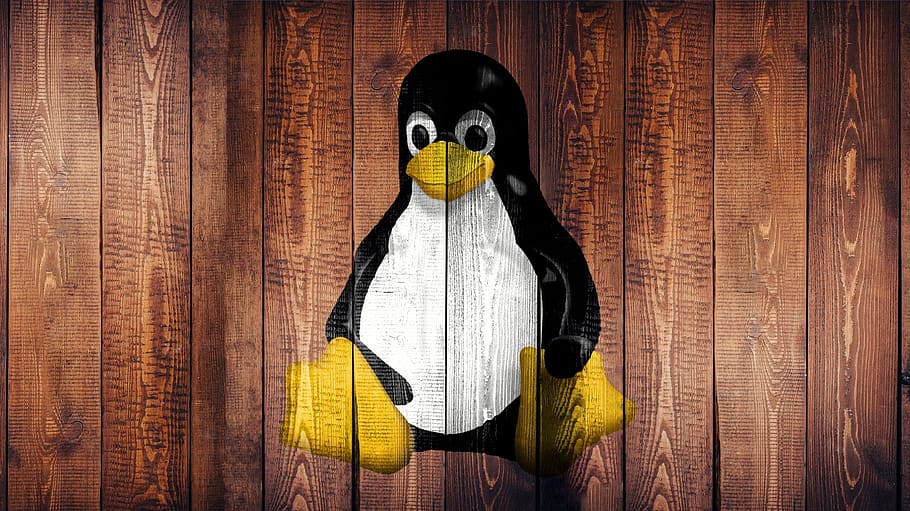linux, laptop, screen, wallpaper, wood, penguin, graffiti, logo, HD wallpaper