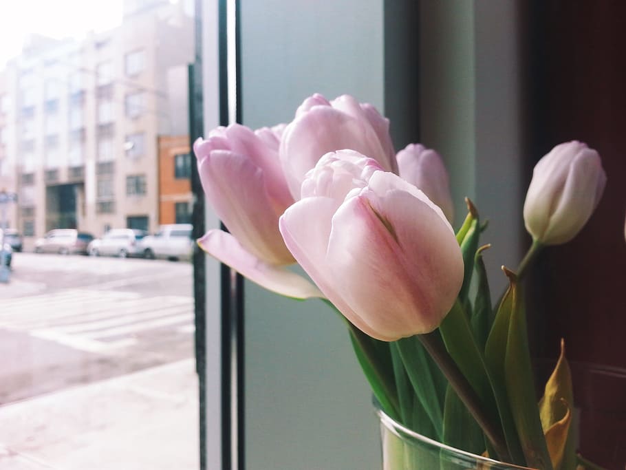 bouquet, flowers, beauty in nature, flowering plant, freshness HD wallpaper