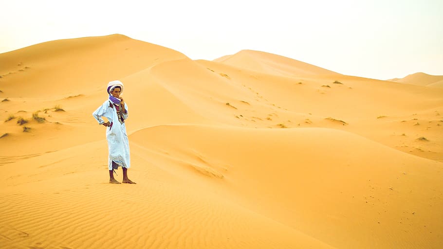 morocco, erg chebbi, berber, dune, dunes, wildlife, sand, landscape HD wallpaper