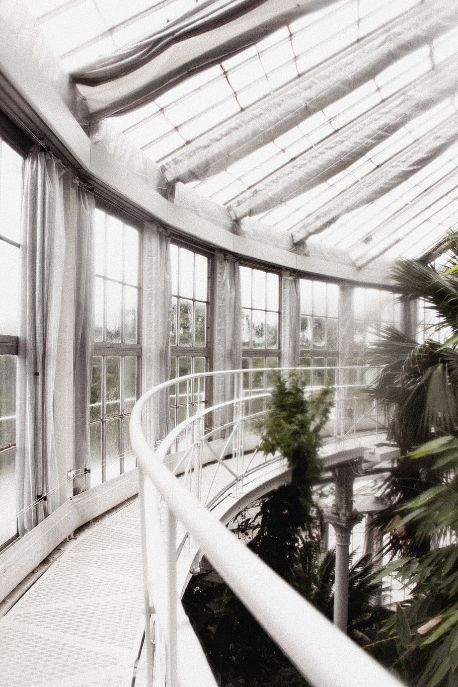 minimal, white, architecture, nature, plant, copenhagen, garden HD wallpaper