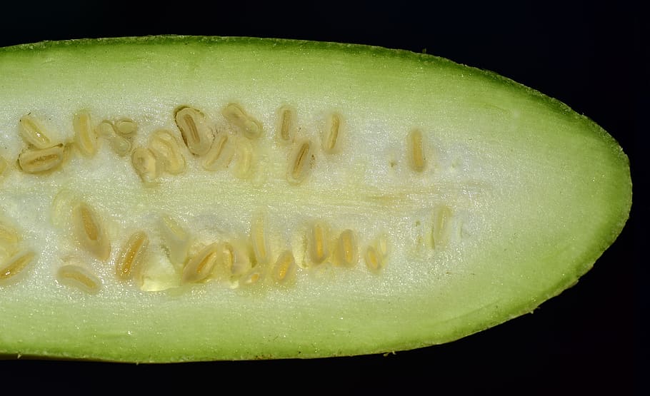 summer squash, green, long, seeds, cores, sliced, vegetables HD wallpaper