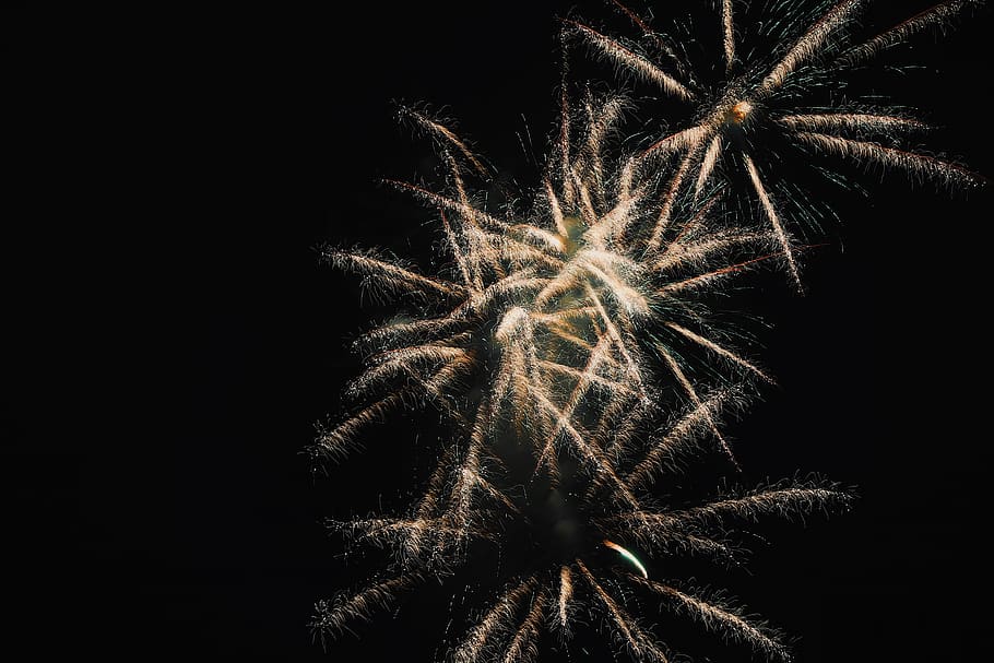 white fireworks, nature, outdoors, night, mammal, wildlife, jaguar HD wallpaper