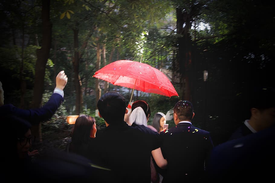 china, guangzhou, tree, group of people, plant, real people HD wallpaper
