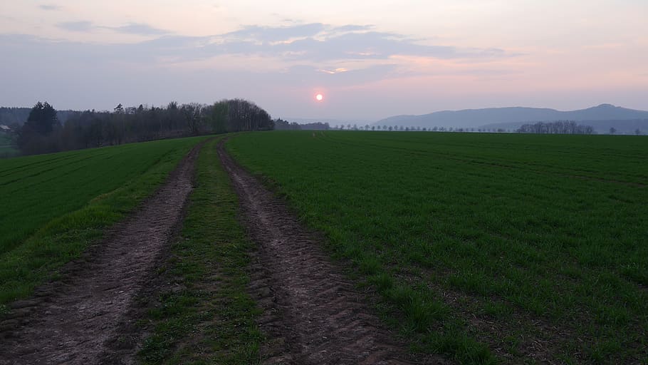 away, grass, sunset, spring, nature, landscape, sky, summer HD wallpaper