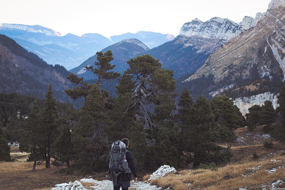 man carrying backpack standing near trees and mountain, forest HD wallpaper
