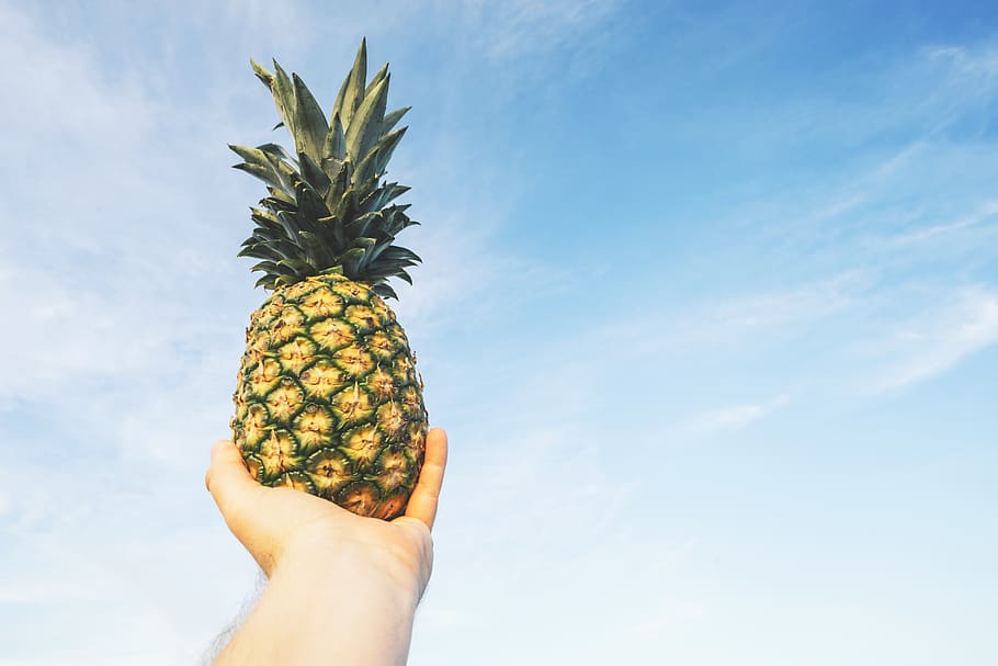 pineapple, fruit, food, plant, person, human, hand, sky, arm HD wallpaper