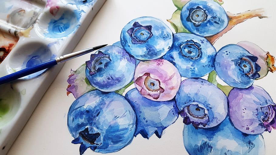 blueberries, fruit, art, painting, brush, watercolor, vodový HD wallpaper