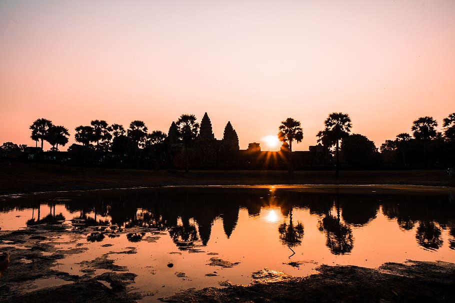 silhouette of trees, cambodia, sunrise, angkor wat, krong siem reap
