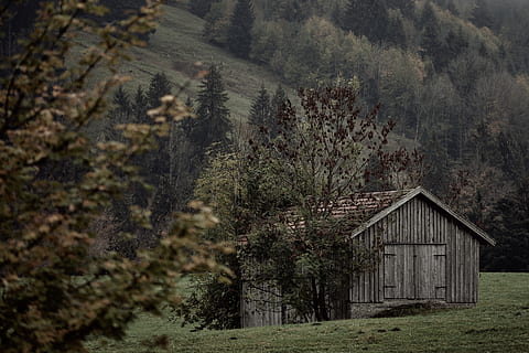 gray wooden barn, nature, outdoors, tree, plant, building, housing HD wallpaper