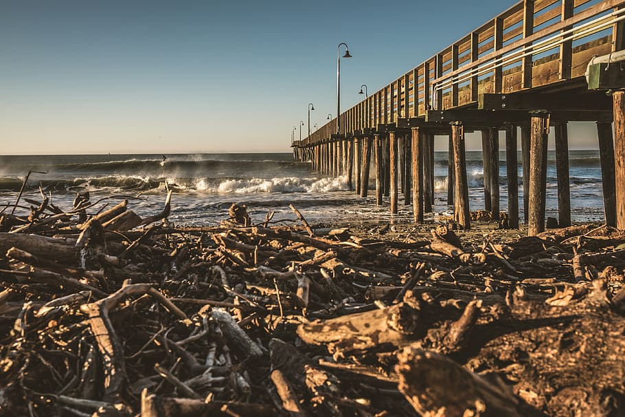 Hd Wallpaper: Cayucos, Cayucos Pier, United States, Surfers, Waves 