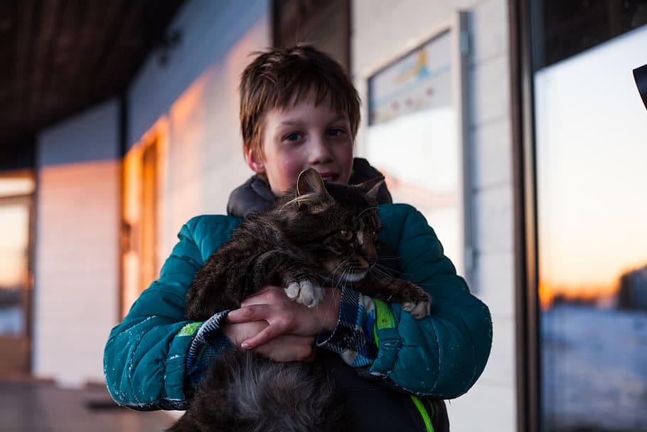 boy standing hugging cat, portrait, focus on foreground, happiness HD wallpaper
