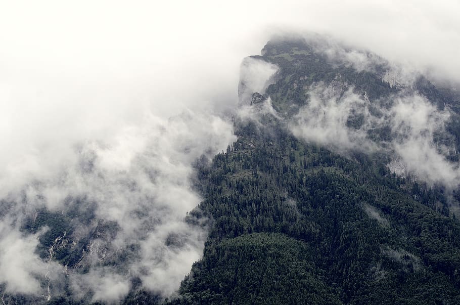 white clouds covering mountain, trees, sky, nature, landscape HD wallpaper