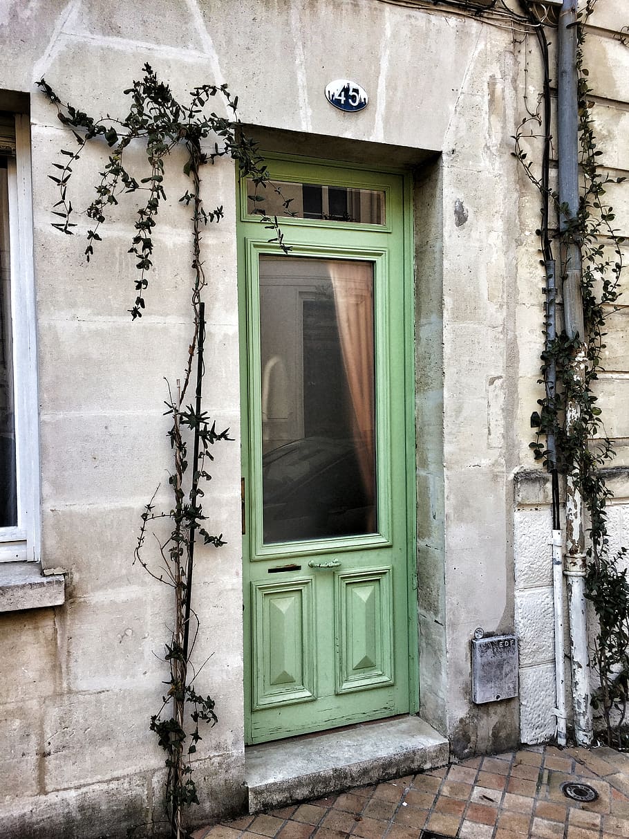 door, home decor, wall, window, plant, brick, vase, potted plant HD wallpaper