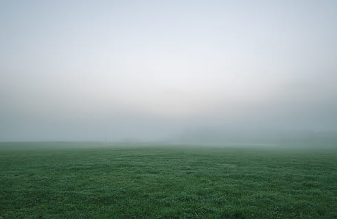 Selective Photography of Green Grass Field Under White and Gray Sky HD wallpaper
