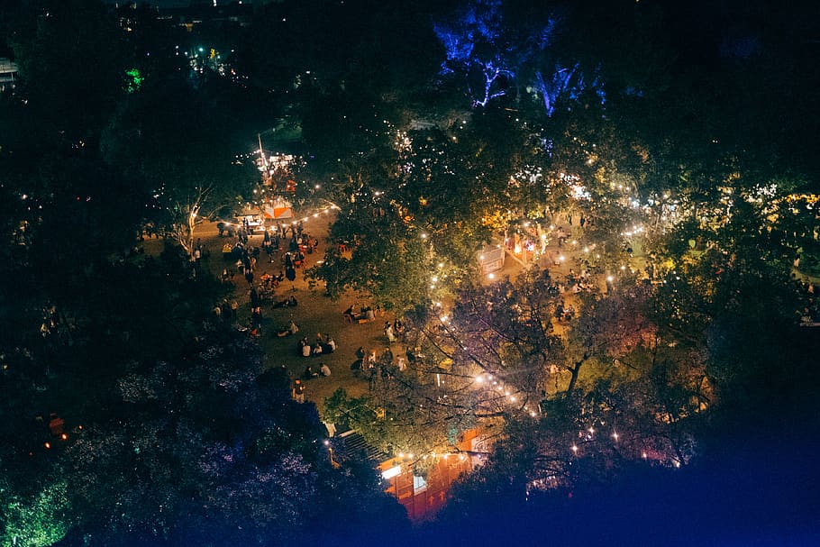 night, sky, illuminated, space, no people, astronomy, nature HD wallpaper