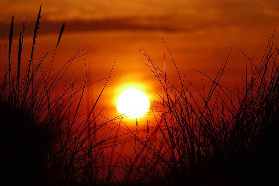 sunset, dramatic, nature, coast, abendstimmung, sky, beauty in nature HD wallpaper