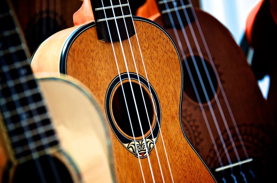 Close-up of Ukulele, bass, bowed stringed instrument, classic, HD wallpaper