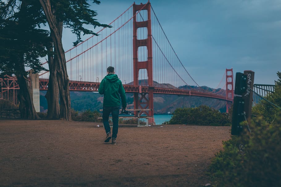 man standing in front tree, person, human, people, san francisco HD wallpaper