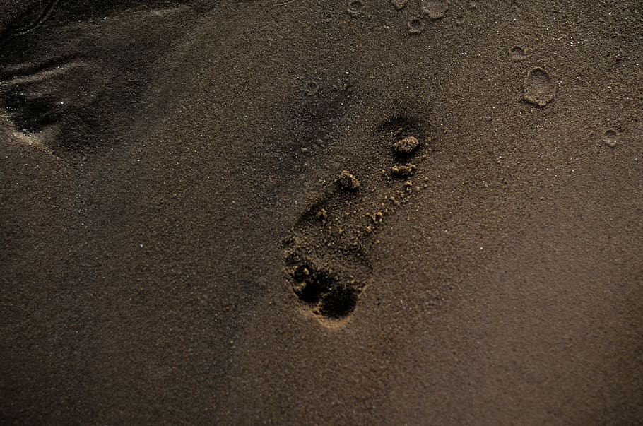 india, bardhaman, sand, beach, land, footprint, high angle view HD wallpaper