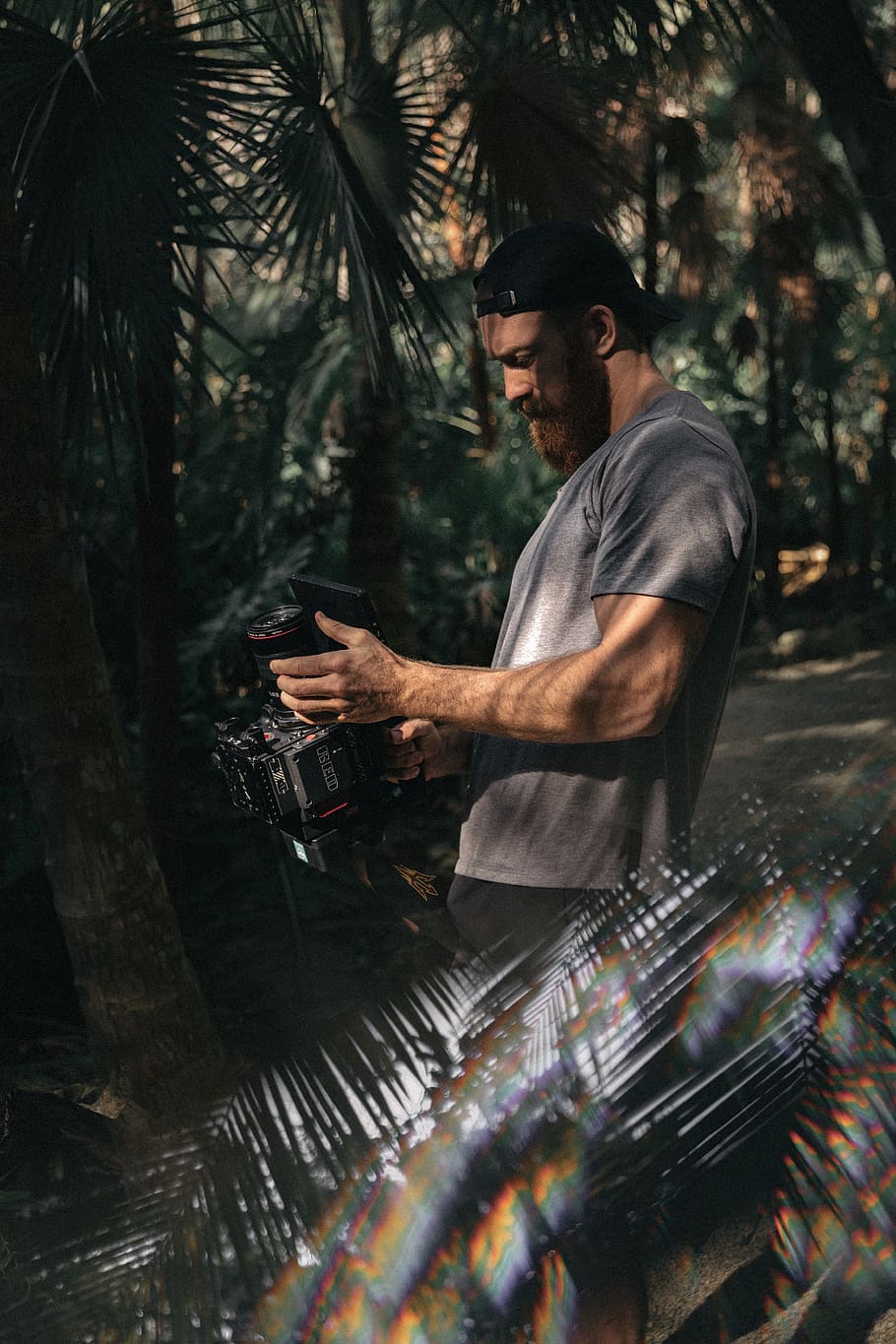 man holding camera under palm trees, one person, real people HD wallpaper