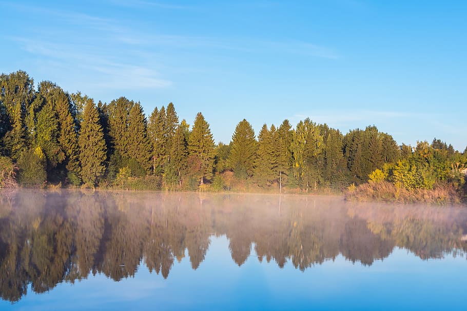 landscape, nature, clouds, sky, lake, trees, fog, summer, sunrise HD wallpaper