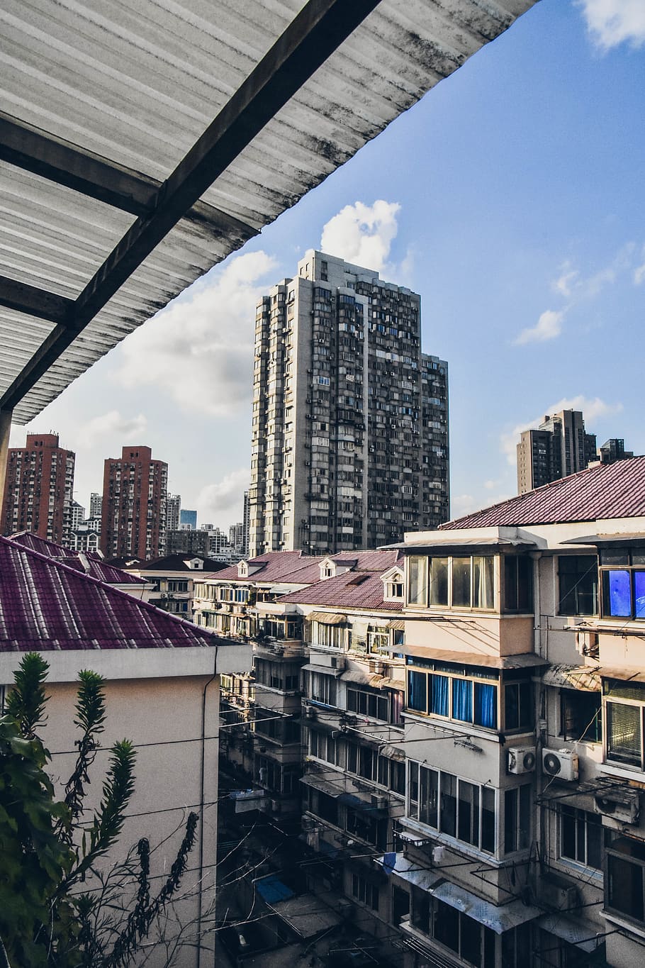 concrete building at daytime, roof, urban, city, town, plant HD wallpaper