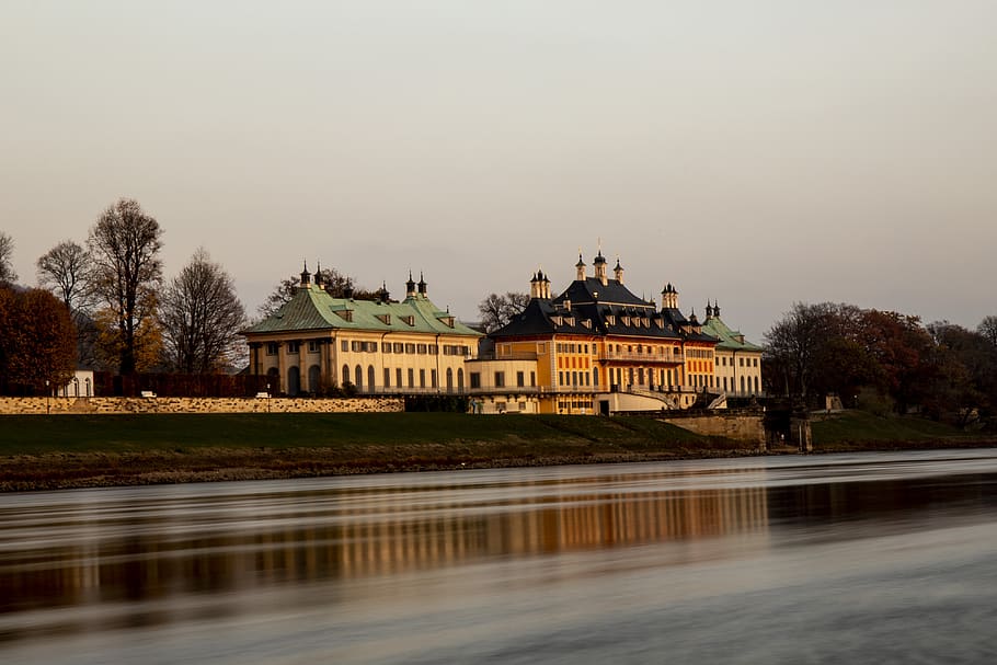 dresden, river, castle, pillnitz, tree, water, built structure HD wallpaper