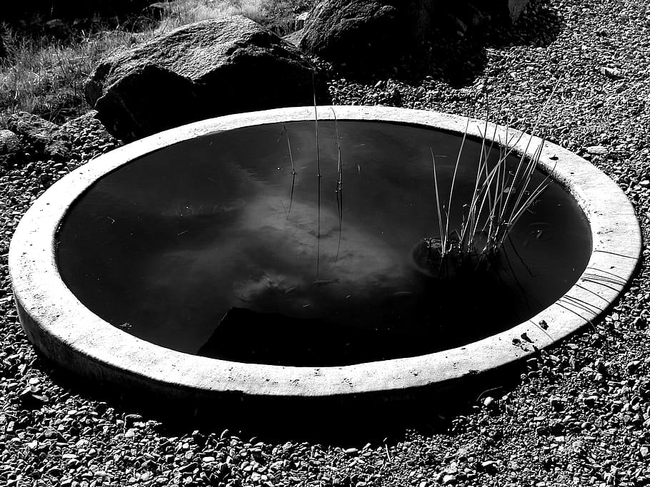 arcosanti, united states, black and white, pond, reflection, HD wallpaper