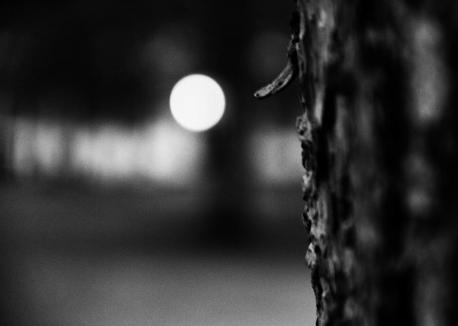 close-up, focus on foreground, no people, selective focus, night HD wallpaper