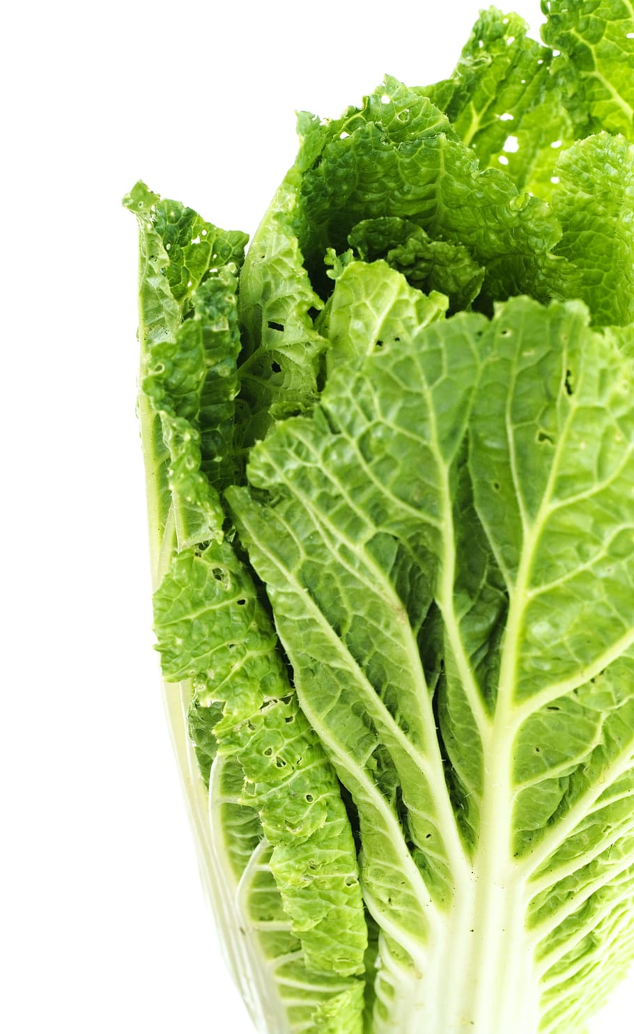 close-up, closeup, diet, dieting, eating, food, fresh, freshness HD wallpaper