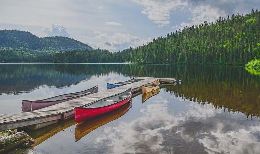 canoe, lake, forest, pontoon, calm, mirror, travel, landscape HD wallpaper
