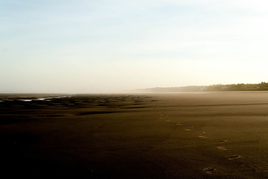 beach, ocean, footprints, mist, sky, tranquility, tranquil scene HD wallpaper