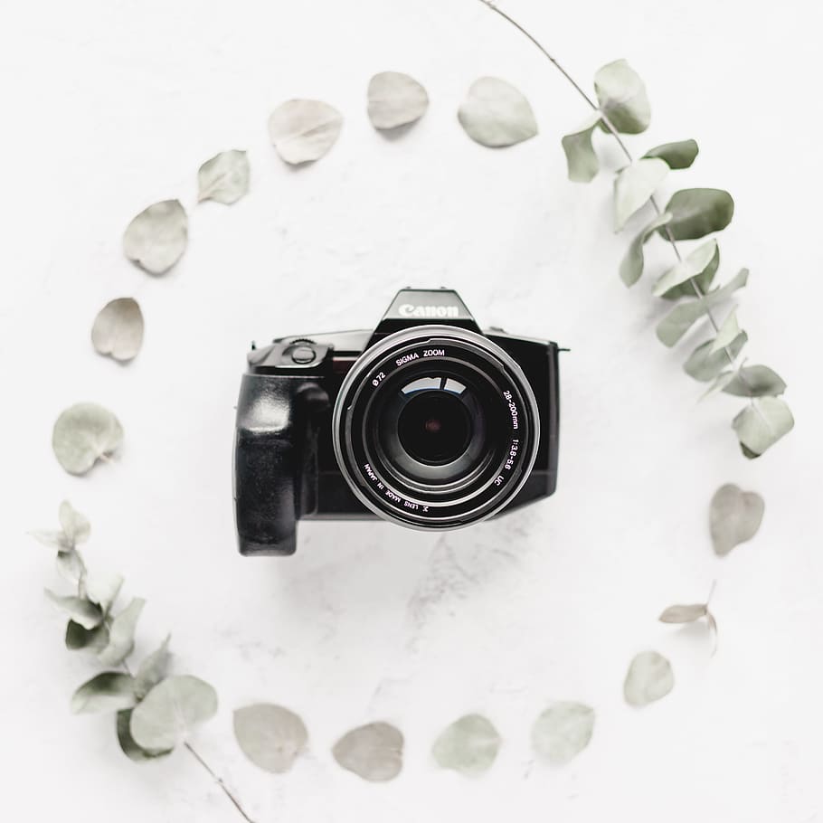 black Canon DSLR camera, leaf, leaves, tech, technology, lens HD wallpaper