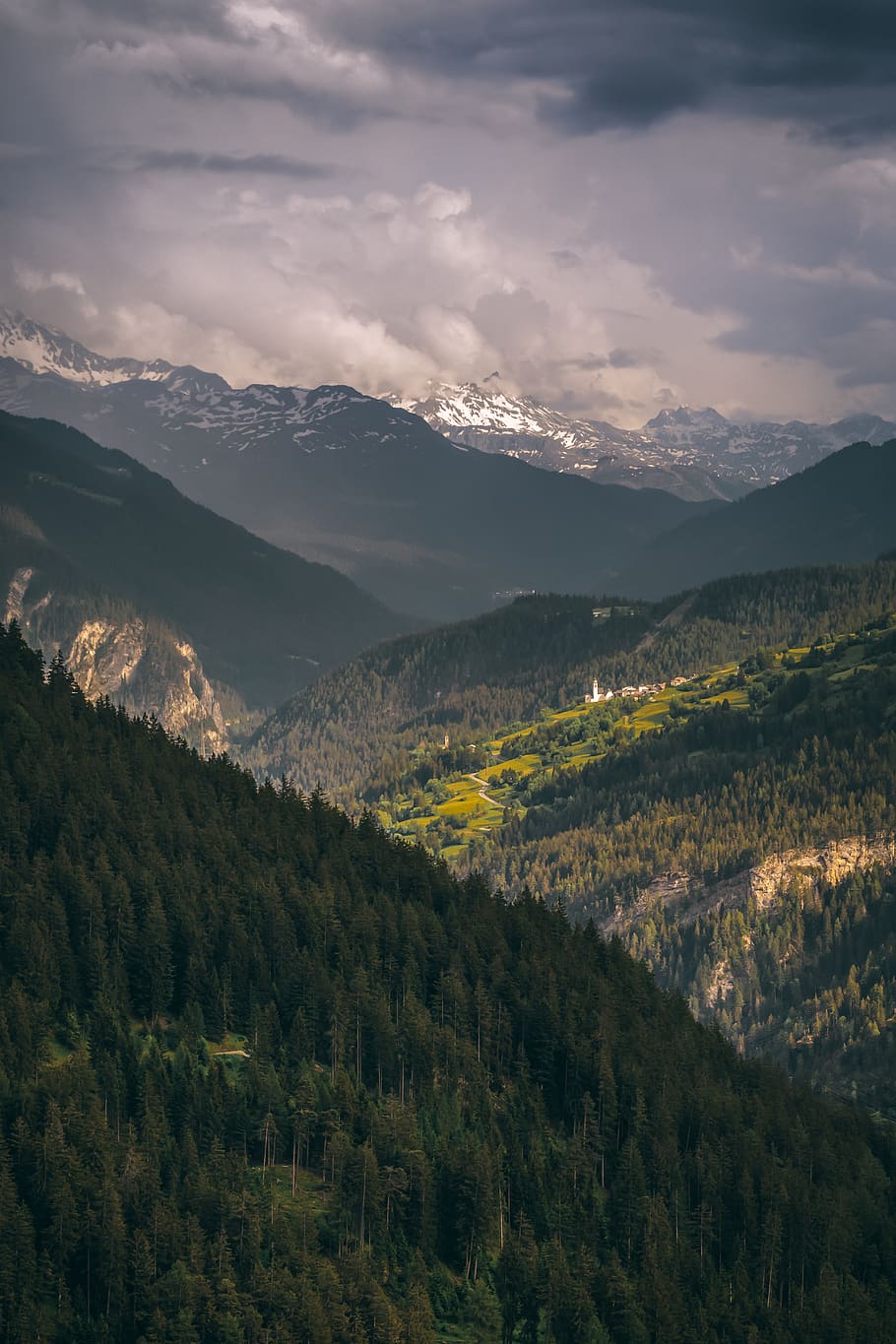 tree covered mountains during day, plant, abies, fir, nature HD wallpaper