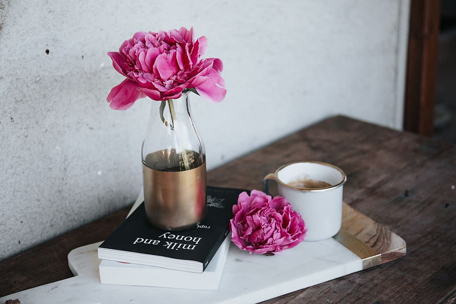pink, flower, vase, display, table, books, coffee, drink, flowering plant HD wallpaper