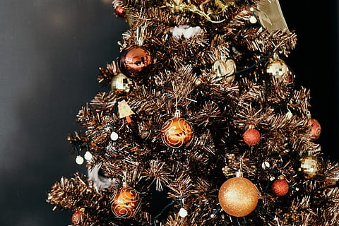 gold Christmas tree, plant, ornament, south korea, 155-1 naun-dong HD wallpaper