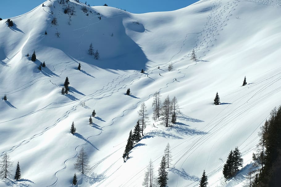 landscape, nature, winter, wintry, snow, snow landscape, white splendour HD wallpaper