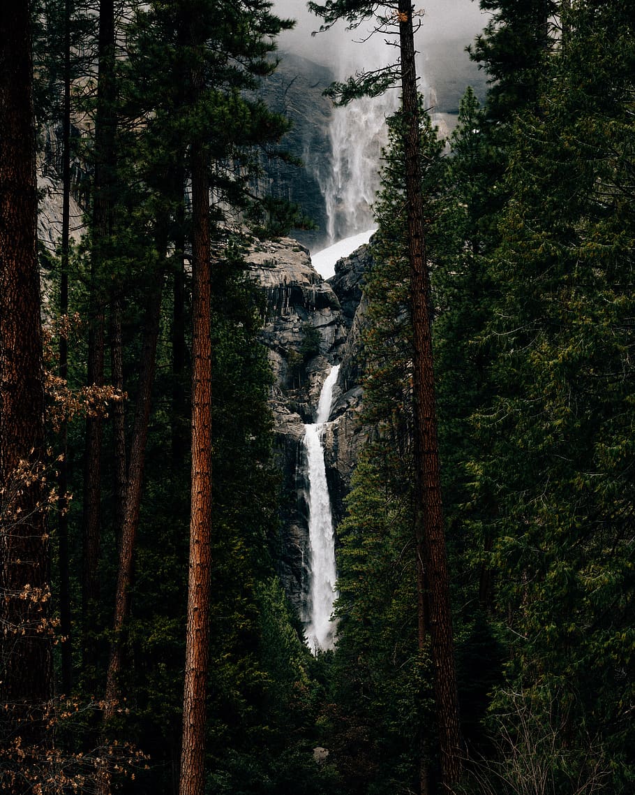 waterfalls between trees during daytime, outdoors, river, nature HD wallpaper