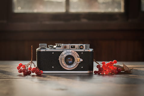 gray and black camera, plant, electronics, wood, fruit, food HD wallpaper