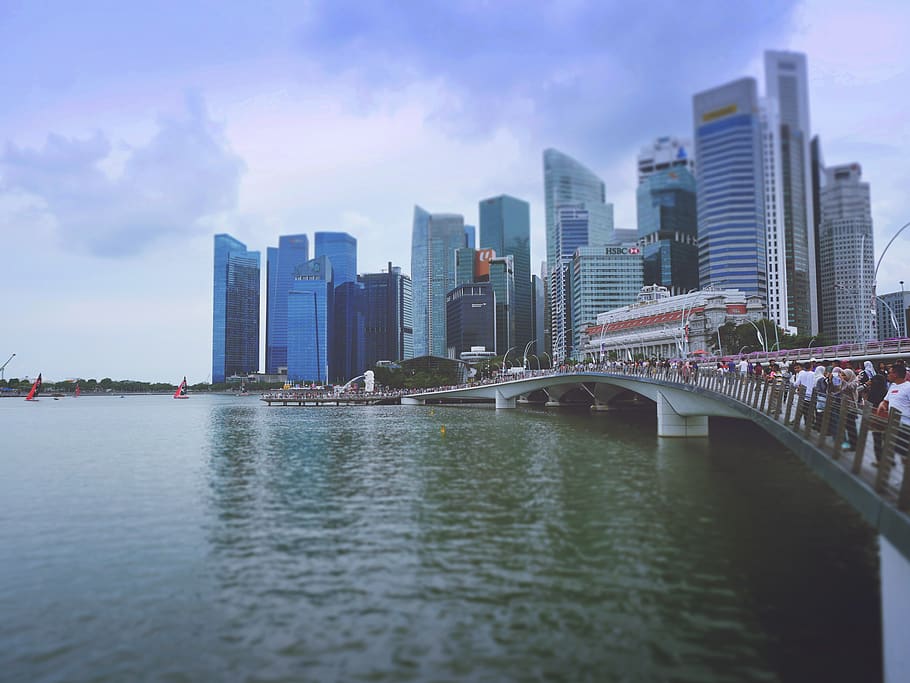 singapore, merlion park, city, city view, city skyline, tilt shift, HD wallpaper