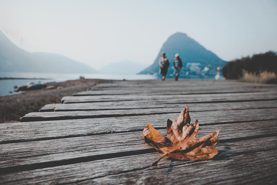 Brown Autumn Leaf on Wooden Dock, boardwalk, clouds, daylight HD wallpaper