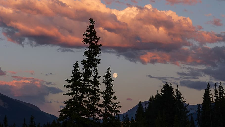 canada, canmore, sky, clouds, sunset, pink, blue, wallpaper HD wallpaper
