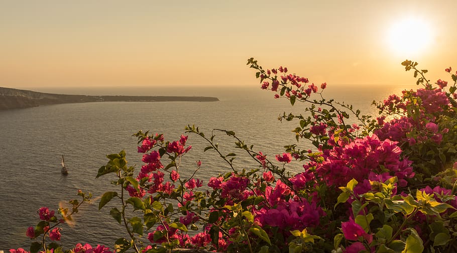 goldenhour, sunset, croatia, kroatien, sonnenuntergang, boat, HD wallpaper