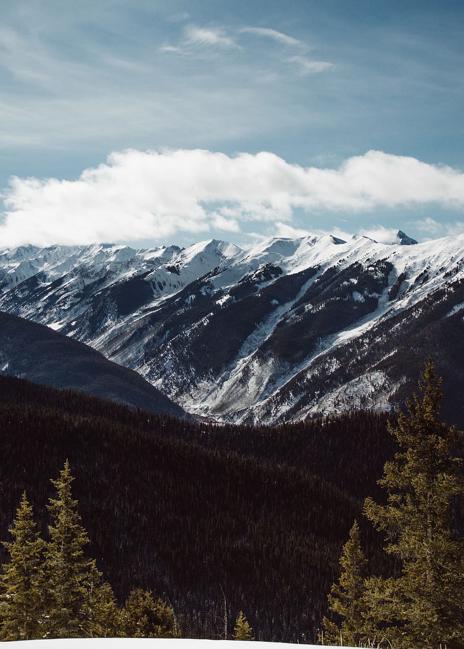 rock mountain during daytime, cloud, tree, forest, woodland, snow HD wallpaper