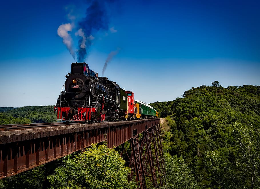 metallic, train, transport, bridge, route, wild, nature, jungle HD wallpaper